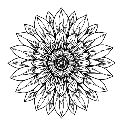 Sunflower Rosette Colouring Page (Adults, Intricate)