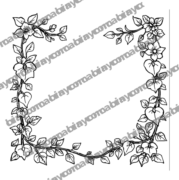 Vine Border colouring page — free printable for teens