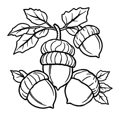 Autumn Acorns Colouring Page (Kids, Bold & Easy)