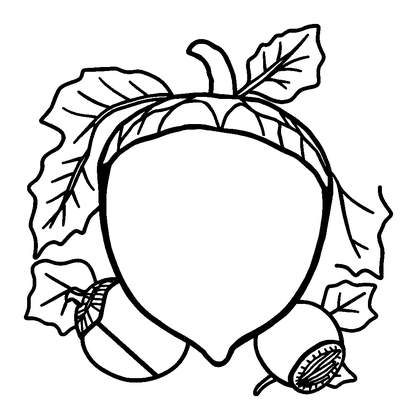 Autumn Acorns Colouring Page (Toddler, Bold & Easy)