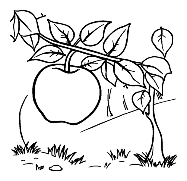 Autumn Apple Orchard colouring page — free printable for kids