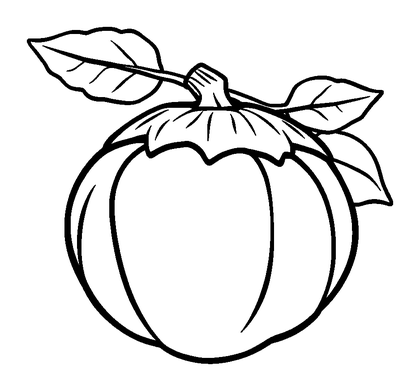 Autumn Conker Colouring Page (Kids, Bold & Easy)