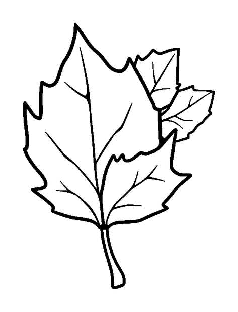 Autumn Leaves colouring page — free printable for kids