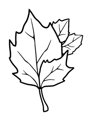 Autumn Leaves Colouring Page (Kids, Bold & Easy)