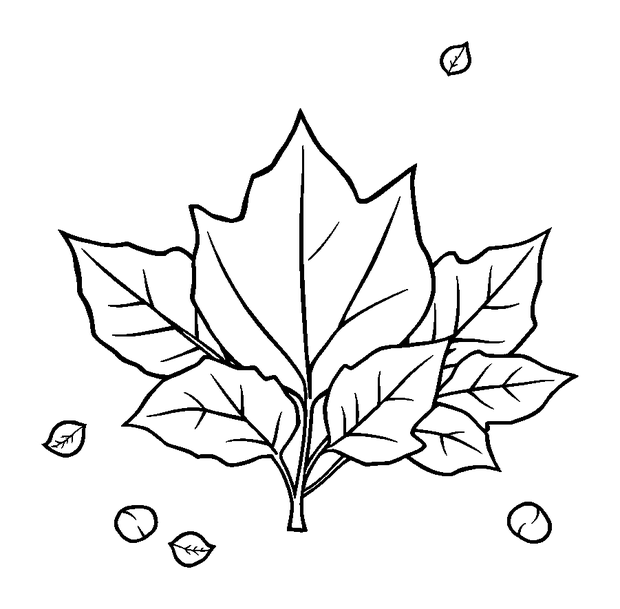 Autumn Leaves colouring page — free printable for toddlers