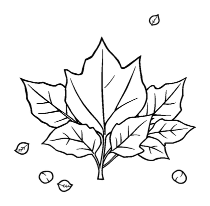 Autumn Leaves Colouring Page (Toddler, Bold & Easy)