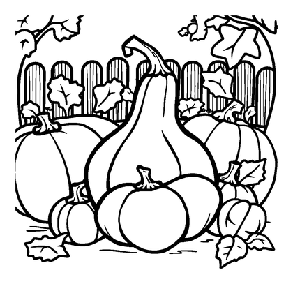 Autumn Squash Harvest Colouring Page (Kids, Bold & Easy)