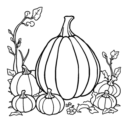 Autumn Squash Harvest Colouring Page (Toddler, Bold & Easy)