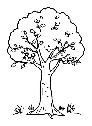Autumn Tree Colouring Page (Toddler, Bold & Easy)