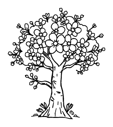 Blossom Tree Colouring Page (Kids, Standard)