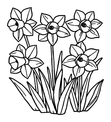 Daffodils Colouring Page (Kids, Bold & Easy)