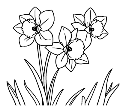 Daffodils Colouring Page (Toddler, Bold & Easy)