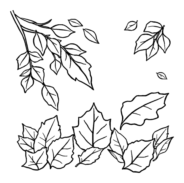 Falling Leaves colouring page — free printable for kids