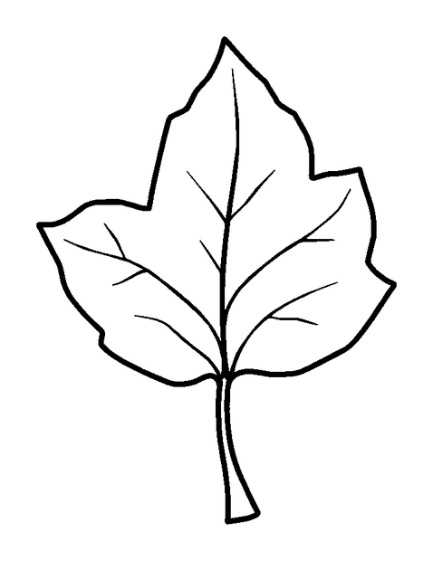 Falling Leaves colouring page — free printable for kids