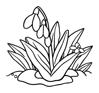 First Snowdrop Colouring Page (Kids, Bold & Easy)