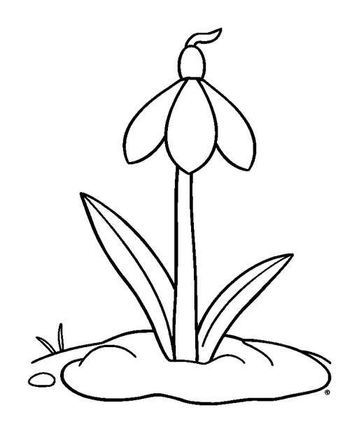 First Snowdrop colouring page — free printable for kids