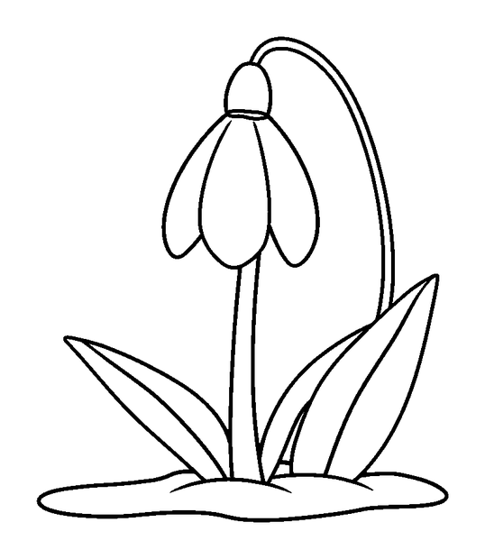 First Snowdrop colouring page — free printable for toddlers
