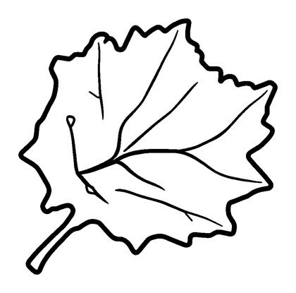Frost Leaf Colouring Page (Kids, Bold & Easy)