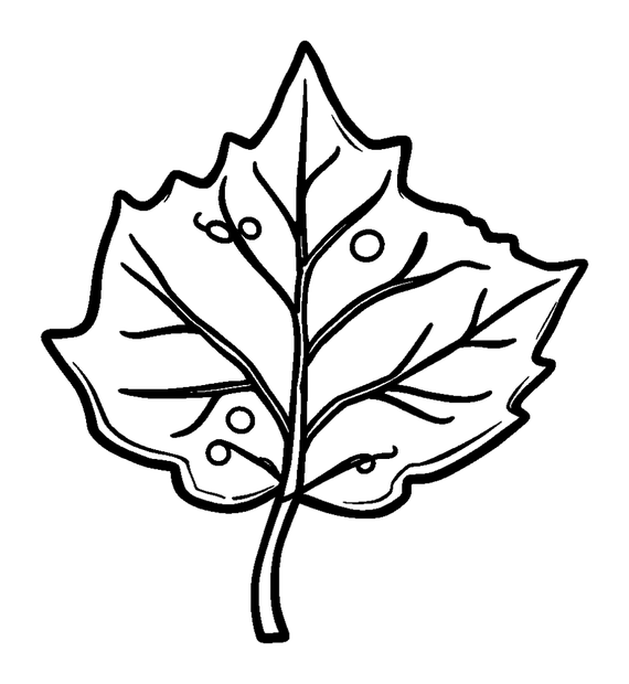 Frost Leaf colouring page — free printable for kids