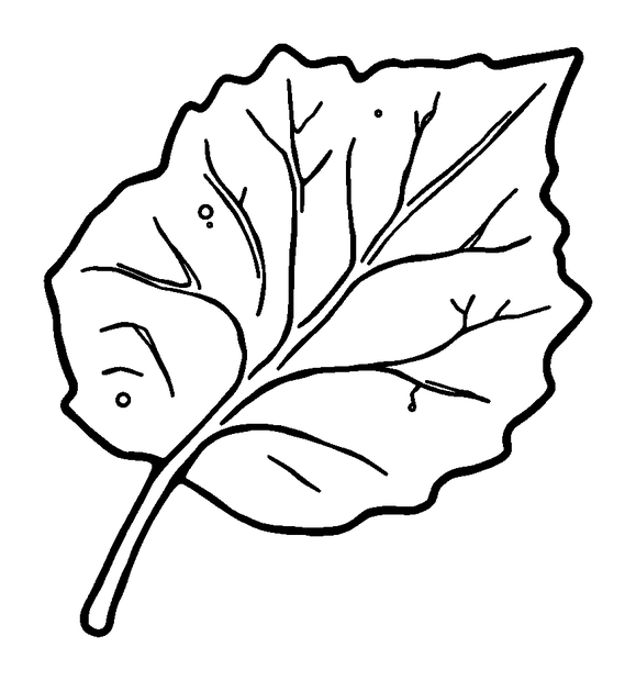 Frost Leaf colouring page — free printable for toddlers