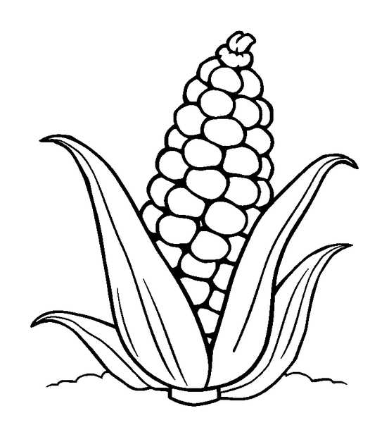 Harvest Corn colouring page — free printable for kids