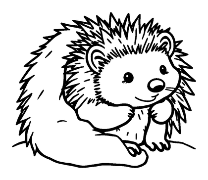 Hibernating Hedgehog Colouring Page (Toddler, Bold & Easy)