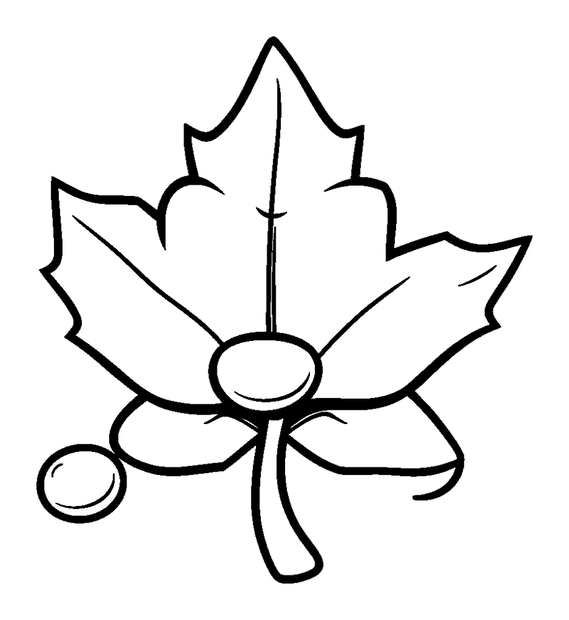 Maple Seeds colouring page — free printable for kids