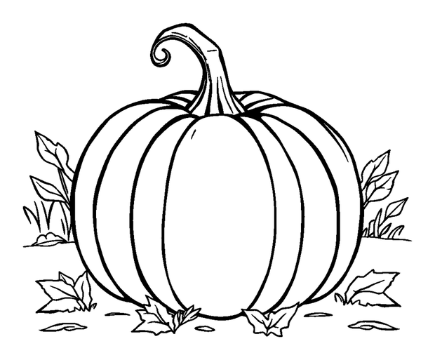 Pumpkin Harvest colouring page — free printable for toddlers