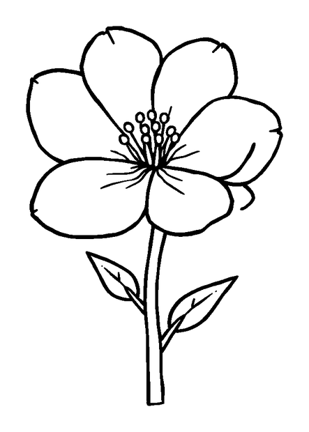 Spring Blossom colouring page — free printable for kids