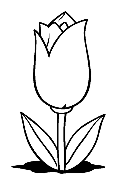 Spring Bud colouring page — free printable for kids