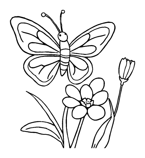 Spring Butterfly Bloom colouring page — free printable for kids