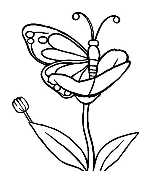 Spring Butterfly Bloom colouring page — free printable for kids
