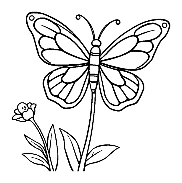 Spring Butterfly Bloom colouring page — free printable for toddlers