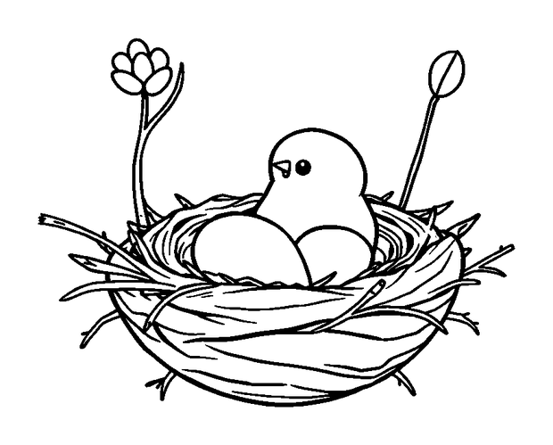 Spring Nest colouring page — free printable for kids