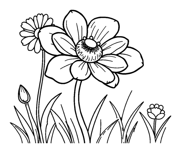 Summer Meadow Bloom colouring page — free printable for toddlers
