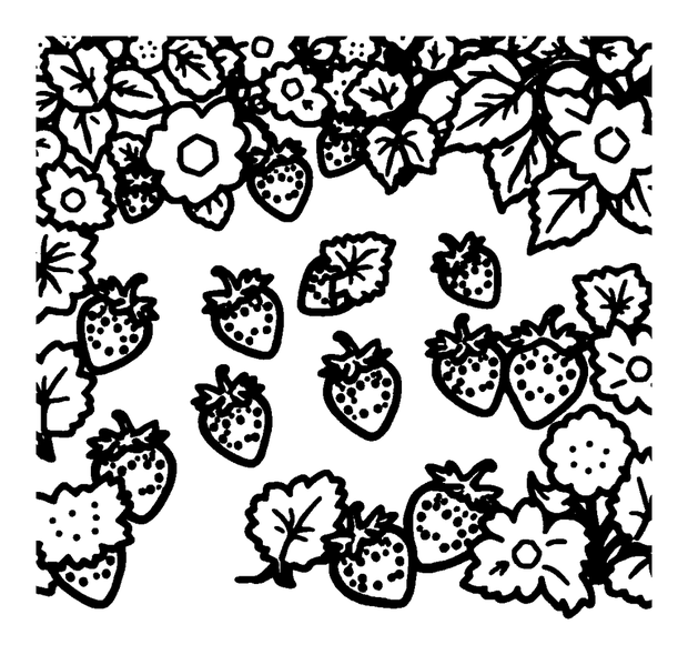 Summer Strawberry Patch colouring page — free printable for kids