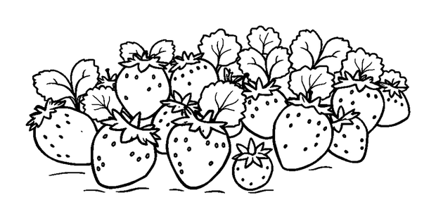 Summer Strawberry Patch colouring page — free printable for kids