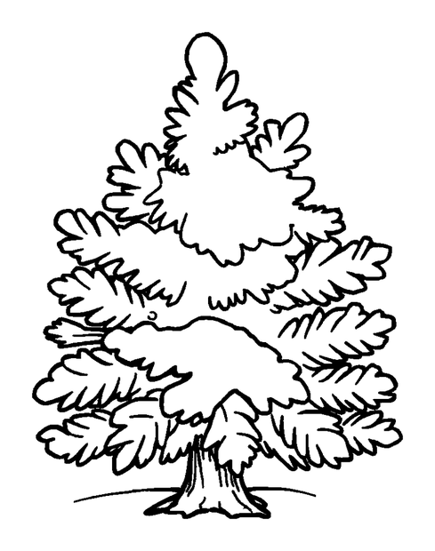 Winter Evergreen Frost colouring page — free printable for kids