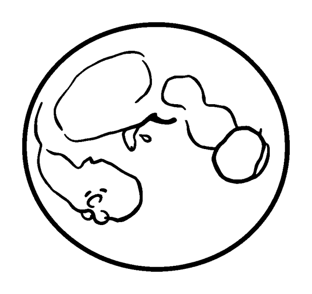 Ringed Moon colouring page — free printable for kids