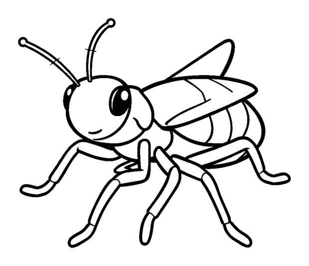 Cricket colouring page — free printable for kids