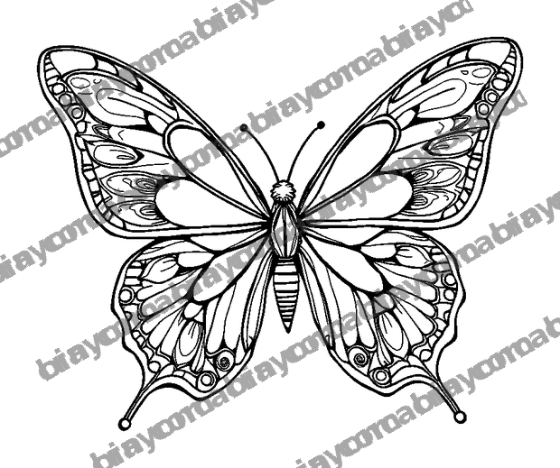 Breathing Butterfly Wings colouring page — free printable for adults