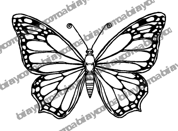 Breathing Butterfly Wings colouring page — free printable for adults
