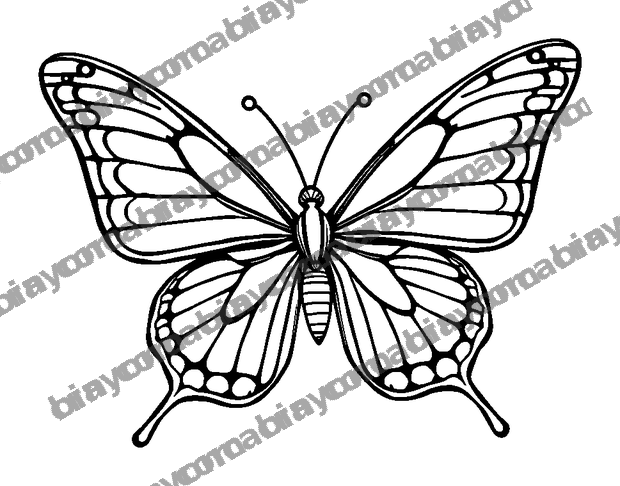 Breathing Butterfly Wings colouring page — free printable for teens