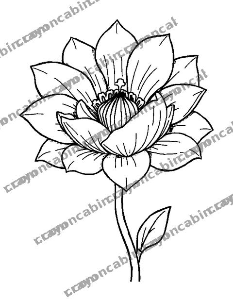 Breathing Flower colouring page — free printable for adults