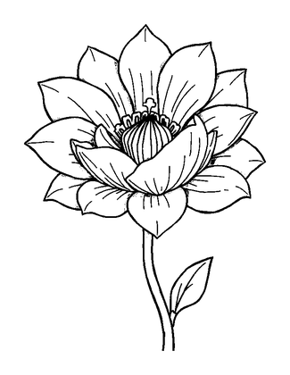 Breathing Flower Colouring Page (Adults, Standard)
