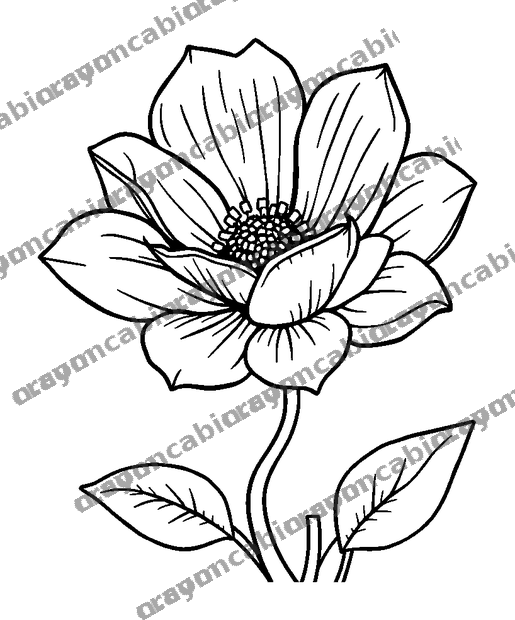 Breathing Flower colouring page — free printable for teens