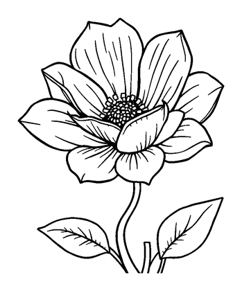 Breathing Flower Colouring Page (Teens, Standard)