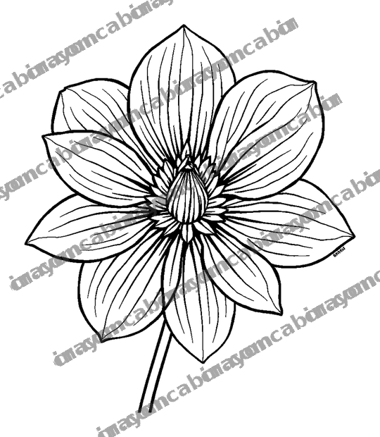 Calm Flower colouring page — free printable for adults