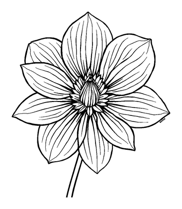 Calm Flower Colouring Page (Adults, Standard)