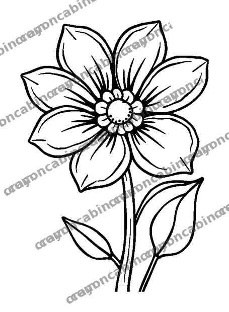 Calm Flower colouring page — free printable for teens